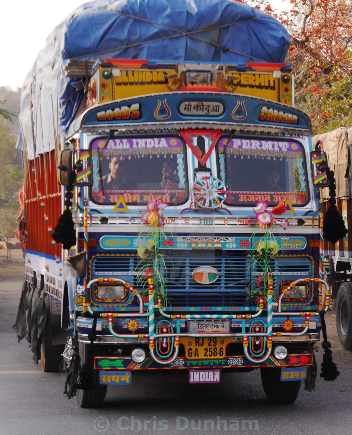 Fancy decorated Indian  truck  License download or print 